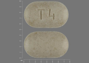 Enalapril maleate and hydrochlorothiazide 5 mg / 12.5 mg T4