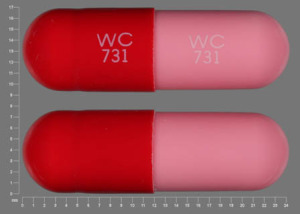 Pill WC 731 WC 731 Pink Capsule/Oblong is Amoxicillin