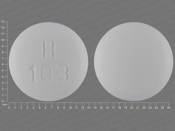 Pill H 103 White Round is Metformin Hydrochloride
