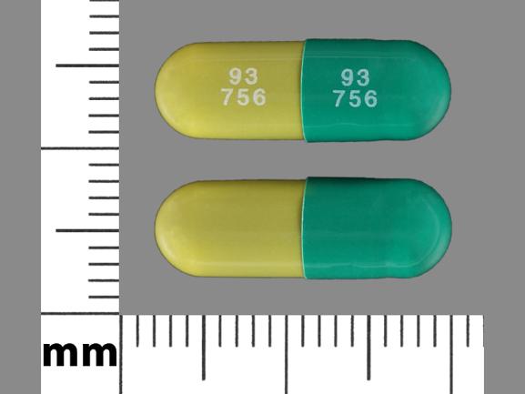 Pill 93 756 93 756 Green Capsule-shape is Piroxicam