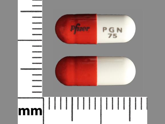 Lyrica 75 mg Pfizer PGN 75