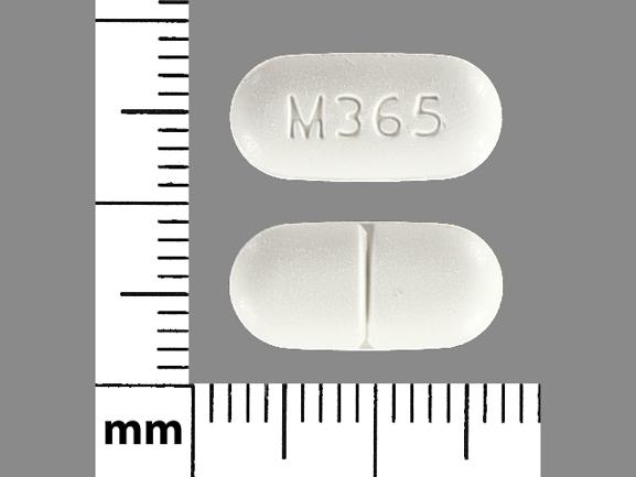 Pill M365 White Capsule-shape is Acetaminophen and Hydrocodone Bitartrate
