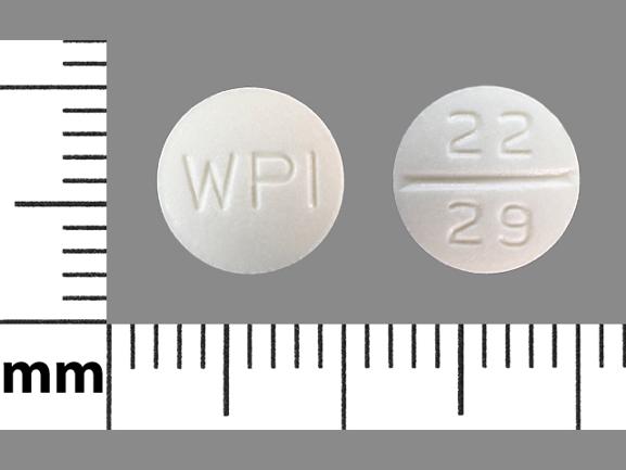 Pill WPI 22 29 White Round is Metoclopramide Hydrochloride