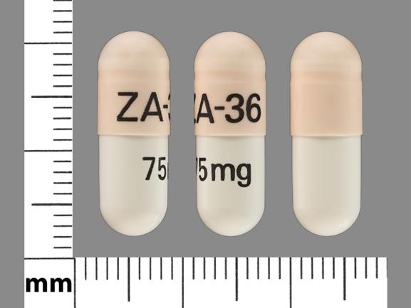 Pill ZA-36 75 mg Peach & White Capsule-shape is Venlafaxine Hydrochloride Extended Release
