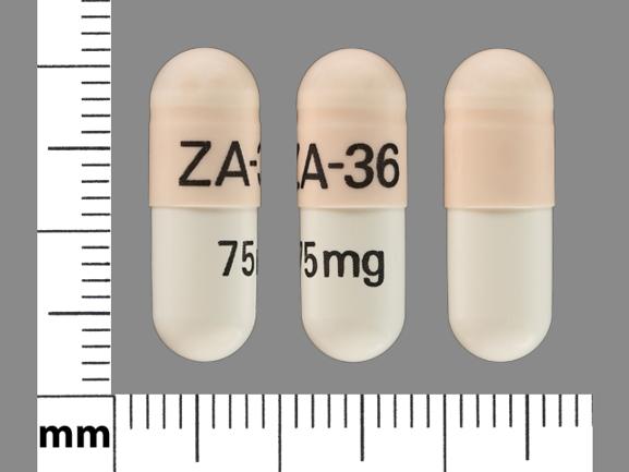 Venlafaxine hydrochloride extended release 75 mg ZA-36 75 mg