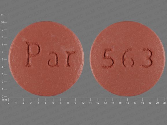 Pill Par 563 Brown Round is Lamotrigine Extended-Release