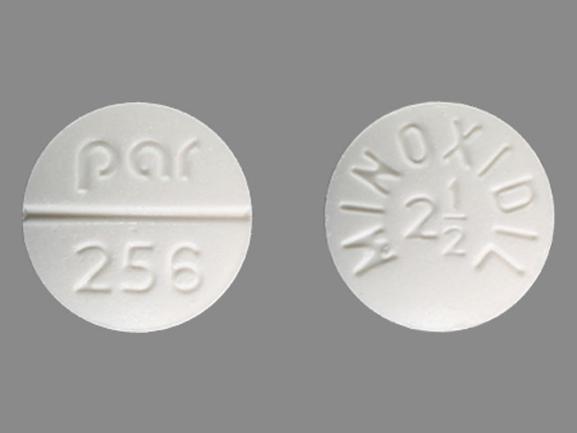 Pill MINOXIDIL 2 1/2 par 256 is Minoxidil 2.5 mg