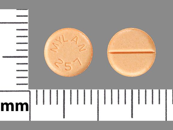 Pill MYLAN 257 Orange Round is Haloperidol