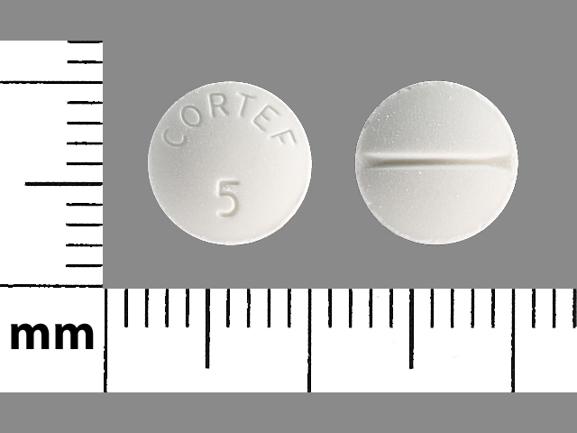 Pill CORTEF 5 White Round is Hydrocortisone