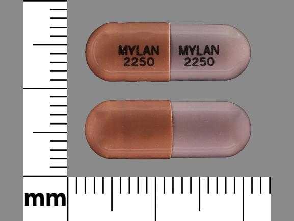 Mycophenolate mofetil 250 mg MYLAN 2250 MYLAN 2250