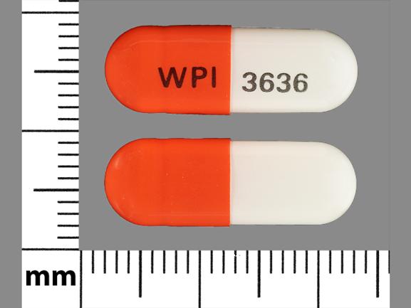 Pill WPI 3636 Orange & White Capsule/Oblong is Trospium Chloride Extended-Release