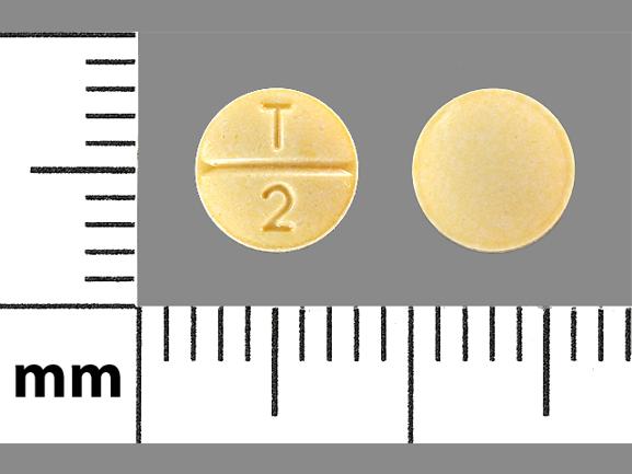 Pill T 2 Yellow Round is Enalapril Maleate