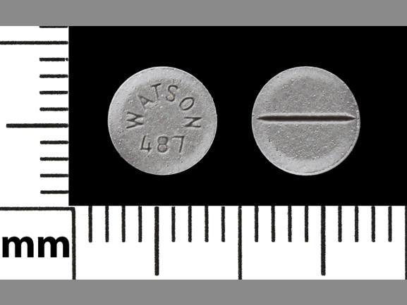 Pill WATSON 487 Gray Round is Estradiol