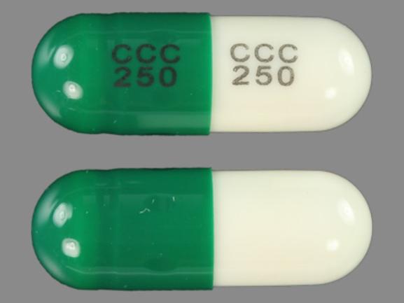 Cephalexin monohydrate 250 mg CCC 250 CCC 250