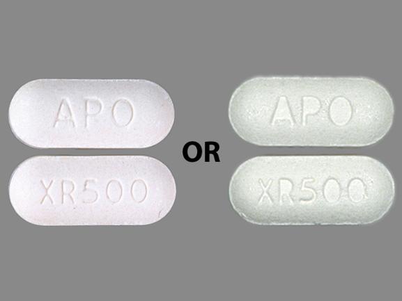 Metformin hydrochloride extended release 500 mg APO XR500