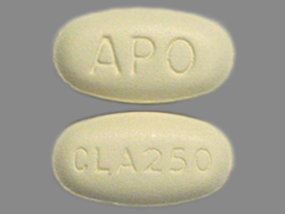 Pill CLA250 APO Yellow Elliptical/Oval is Clarithromycin