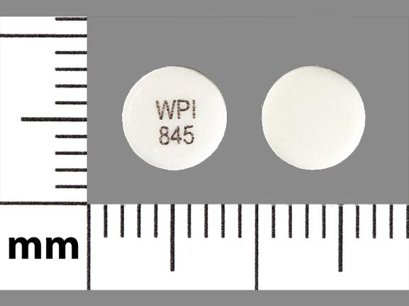 Pill WPI 845 White Round is Glipizide Extended Release