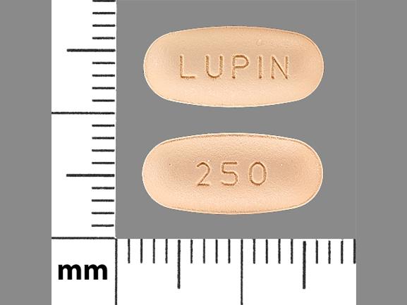 Pill LUPIN 250 Orange Elliptical/Oval is Cefprozil
