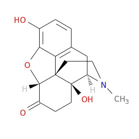 gabapentin interaction oxymorphone