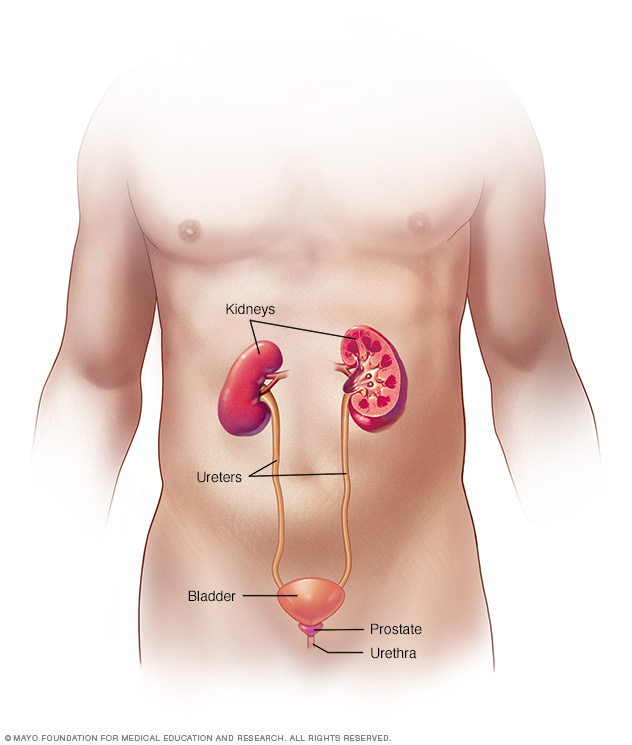 Uti cause a can tramadol