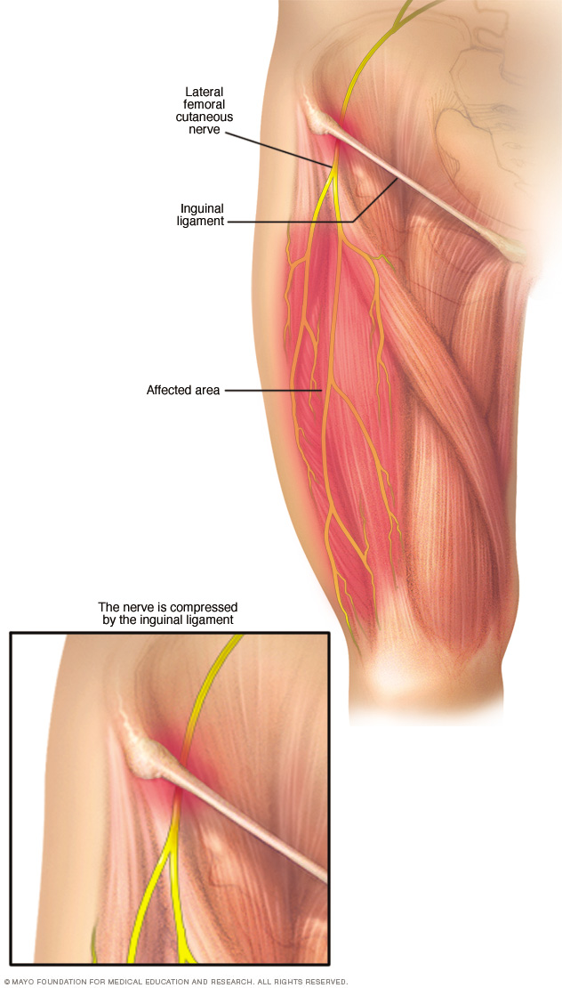 Muscles In Lower Back And Hip - The Dangers Of Too Much Sitting And How It Harms The Body