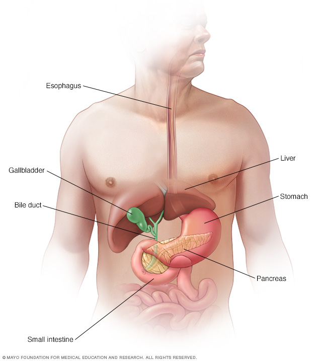 Causas y síntomas del cáncer de páncreas.