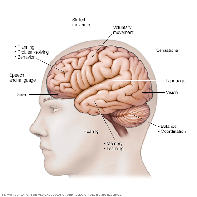 Primary progressive aphasia disease reference guide drugs