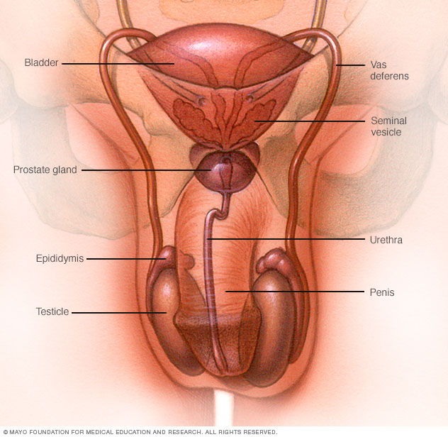 Pins And Needles In Testicles