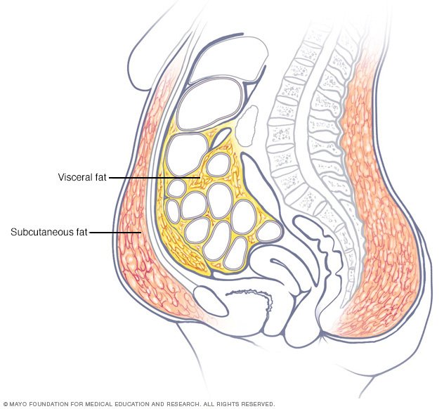 Belly Fat In Women Taking And Keeping It Off Drugs belly-fat-in-women-taking-and-keeping-it-off-drugs