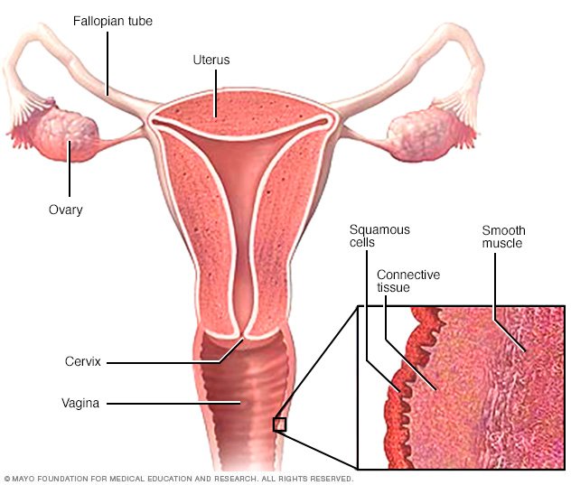 Multiple partners thinning of vaginal wall Swinger events in texas