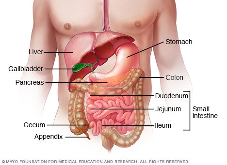 What are the causes of a bowel disease?