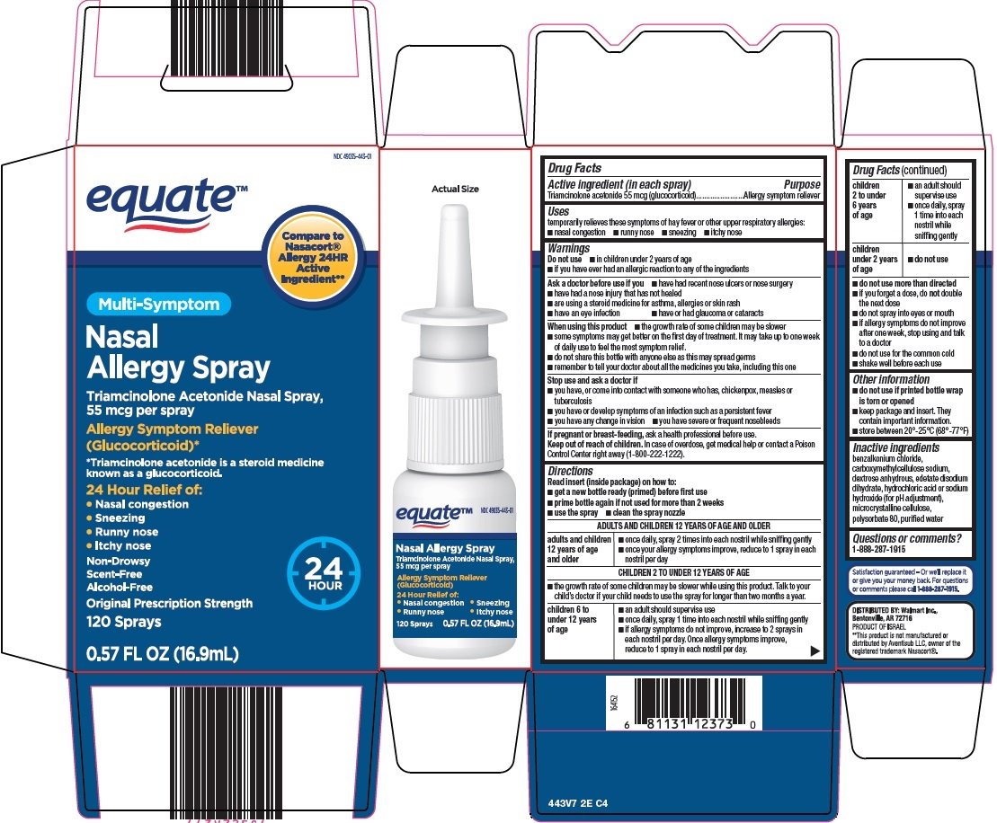 Equate Nasal Allergy (spray, metered. corticosteroid nasal spray otc. 