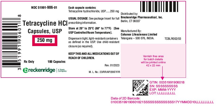 PRINCIPAL DISPLAY PANEL - 250 mg Capsule Bottle Label