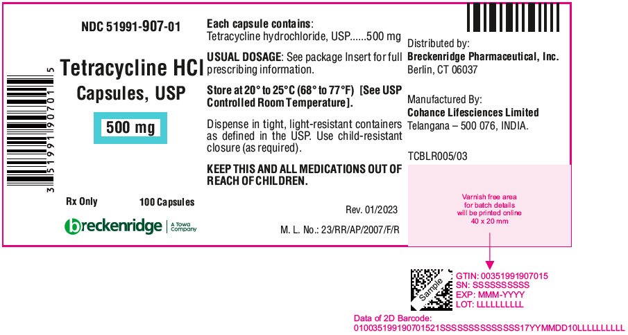 PRINCIPAL DISPLAY PANEL - 500 mg Capsule Bottle Label