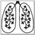figure 06