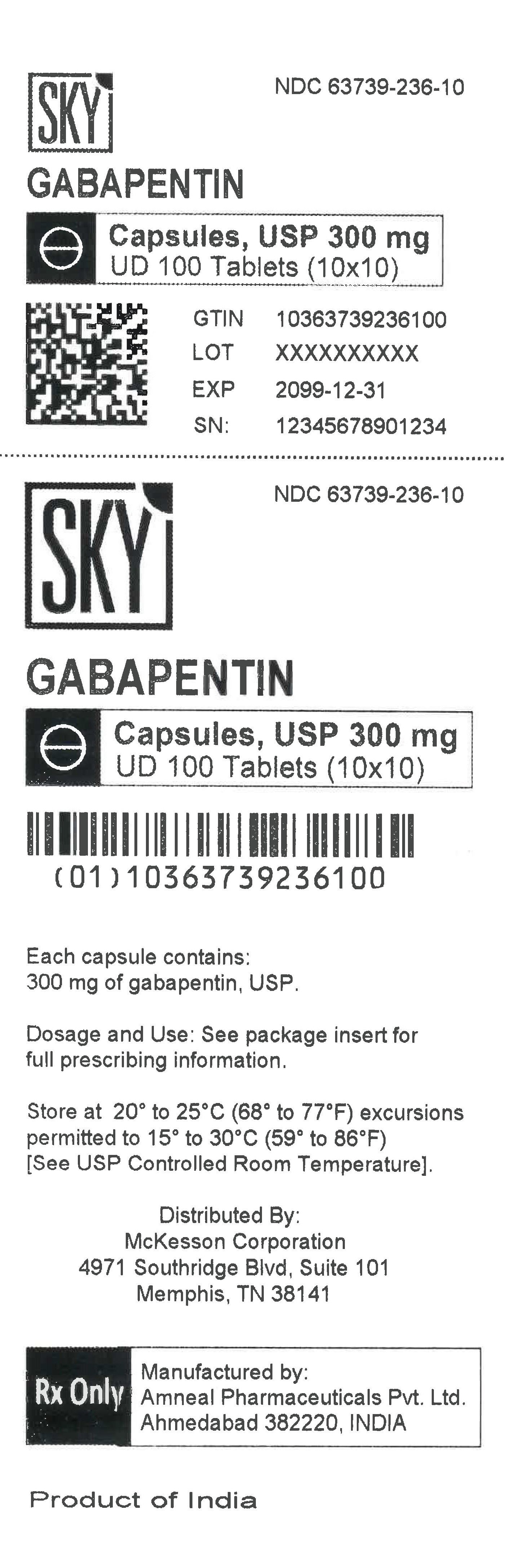 gabapentin liquid amneal package insert