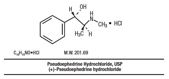 bpd-02.jpg