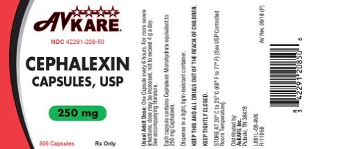 250mg Label