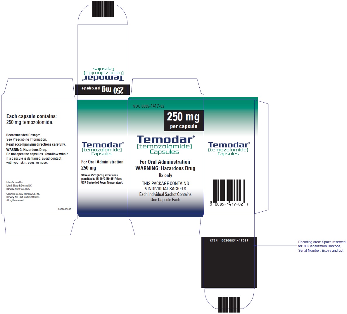 PRINCIPAL DISPLAY PANEL - 250 mg Capsule Sachet Carton