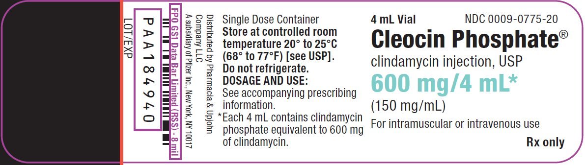 PRINCIPAL DISPLAY PANEL - 600 mg/4 mL Vial Label