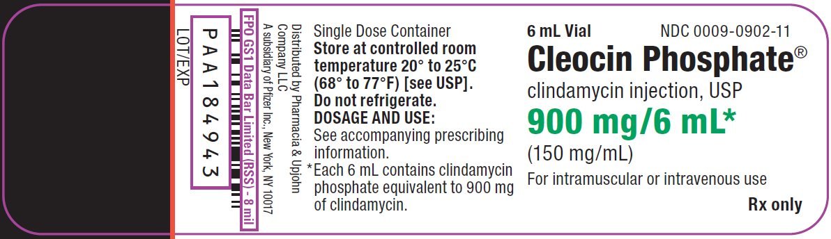 PRINCIPAL DISPLAY PANEL - 900 mg/6 mL Vial Label