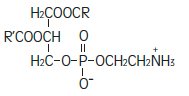 intralipid iv intralipid iv