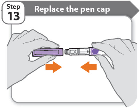 Step 13