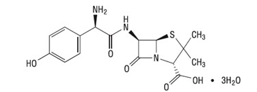 Amoxicillin Molecule