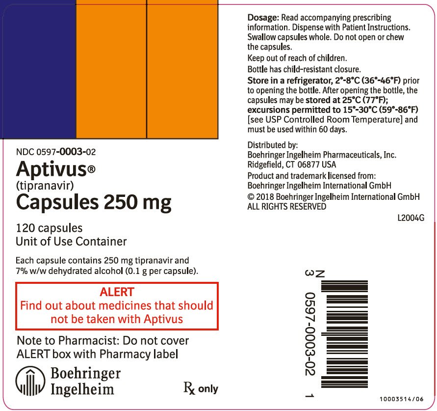 PRINCIPAL DISPLAY PANEL - 250 mg Capsule Bottle Label