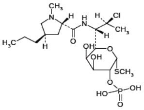 Chemical Structure