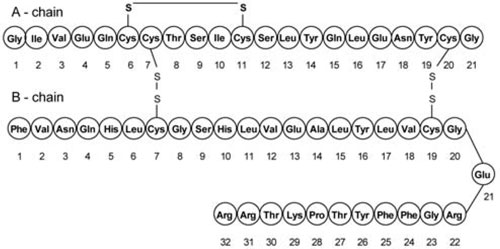 Structural Formula
