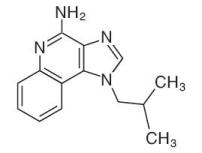 Imiquimod generic brand