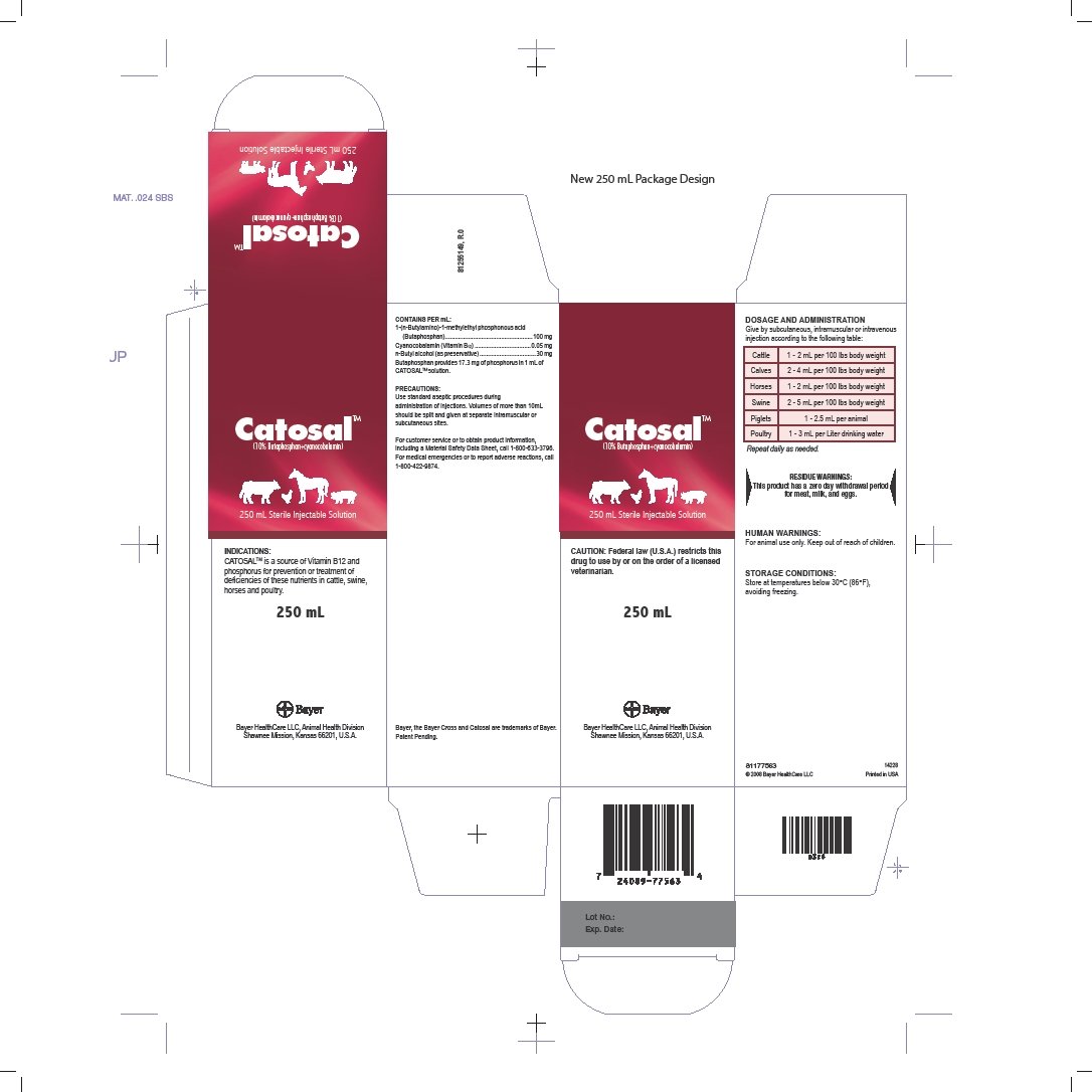 Catosal Unit Carton 250 mL