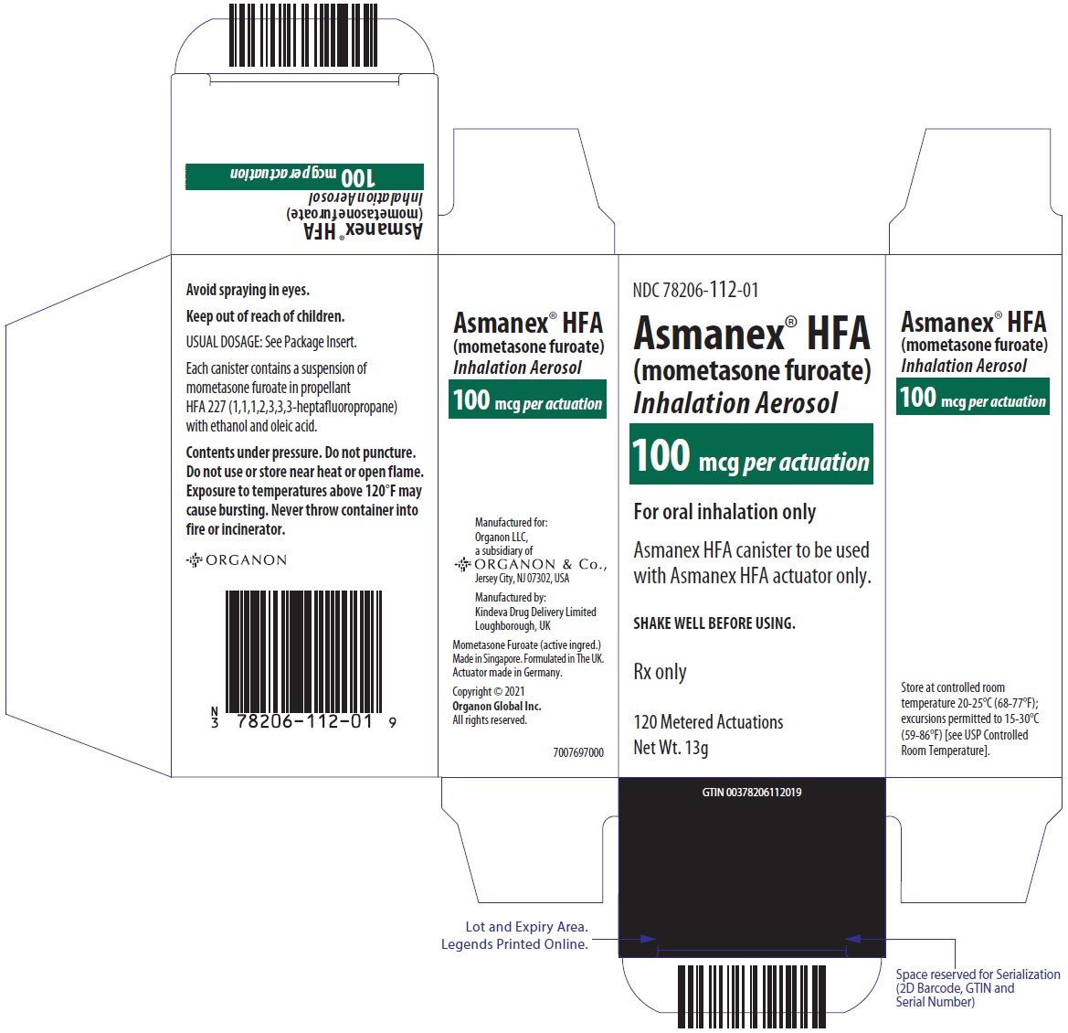 PRINCIPAL DISPLAY PANEL - 100 mcg Canister Carton